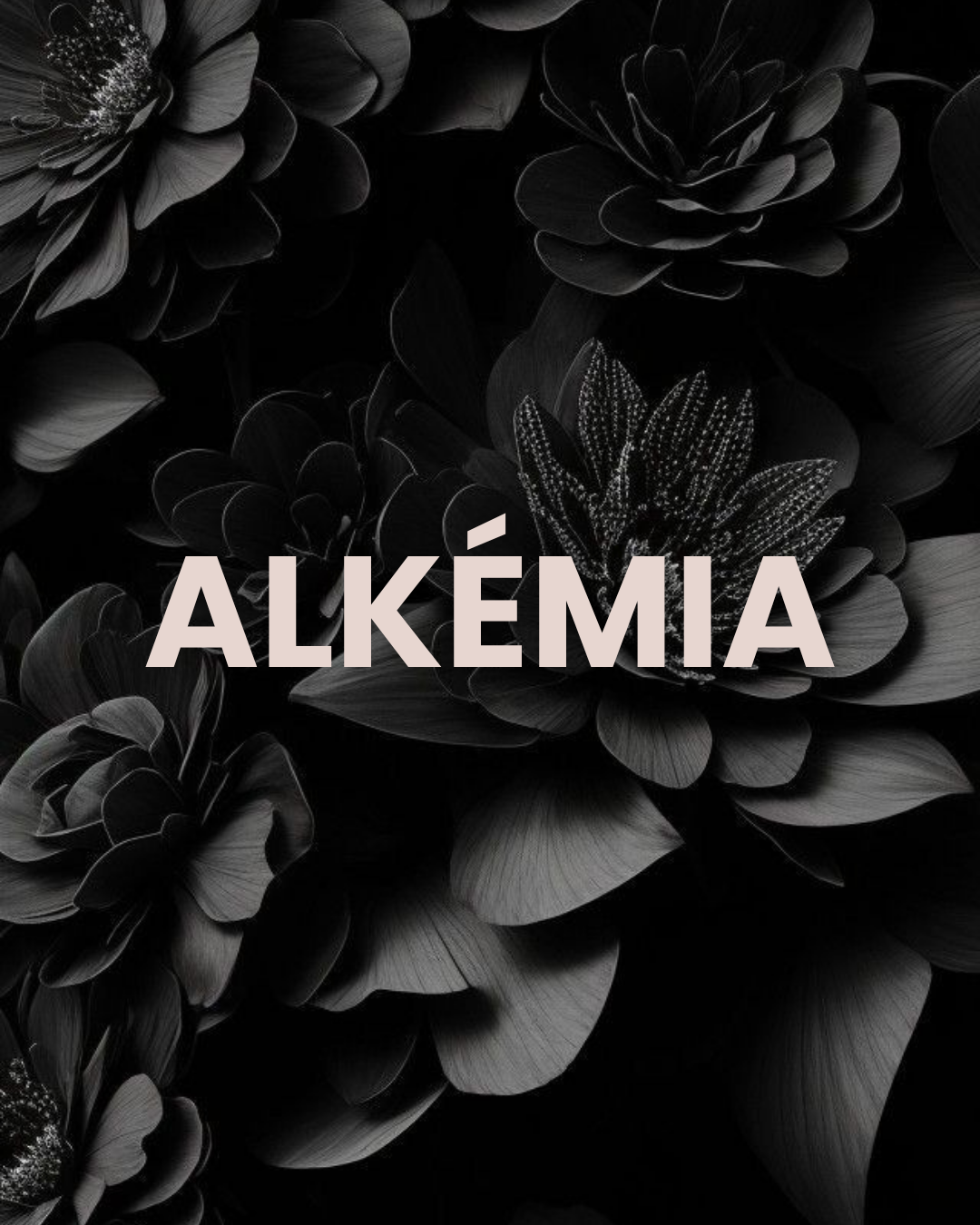 Les Lettres d’ALKÉMIA 🤍