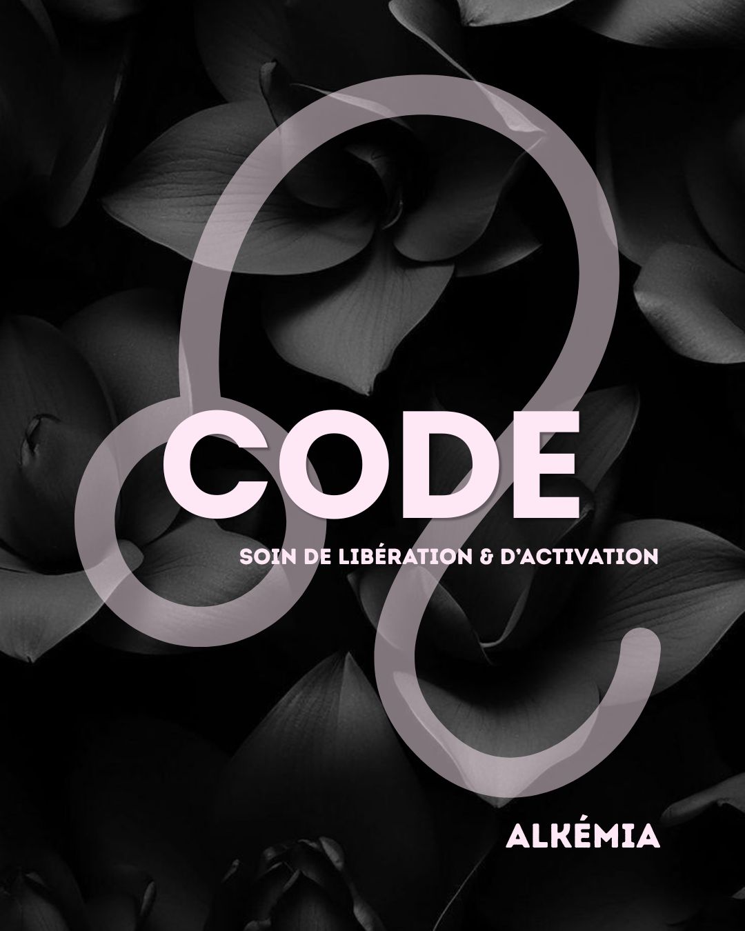 LE CODE LION