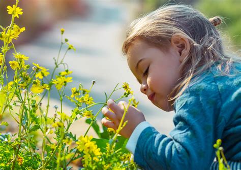 Séance de sophrologie enfant